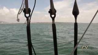 preview picture of video 'Passeio com os golfinhos do Rio Sado Setubal Portugal'