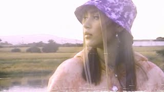 Fue Lindo Lyrics English Translation