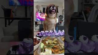 Download lagu Happy Birthday Argho🐶🫶🏻☺️😊 mp3