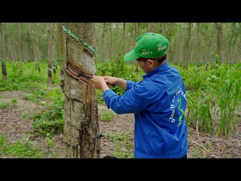 SẢN XUẤT PHIM GIỚI THIỆU DOANH NGHIỆP 20 Phim Tự Giới Thiệu Doanh Nghiệp Dịch Vụ