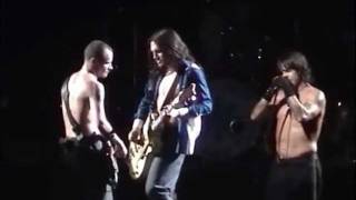 Red Hot Chili Peppers - Intro + Otherside (LIVE)