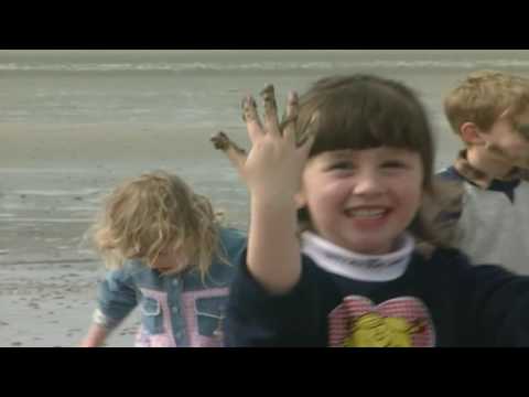 Teletubbies: The Beach