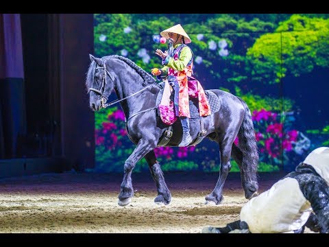 So entsteht die Show | Gefährten des Lichts - das Making-Of
