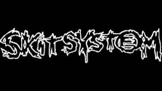 skitsystem-välfärd