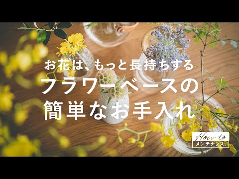 蘭の開花を延ばす方法