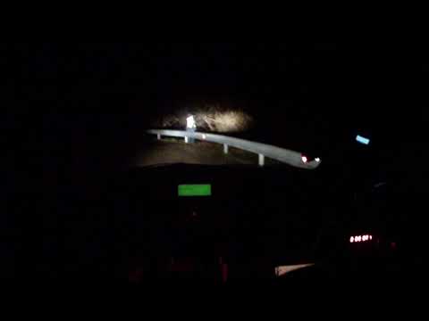 rally ciocchetto  2017 maniero mocci ps3 stadio