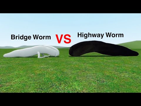 Bridge Worm vs Highway Worm [Garry's Mod]