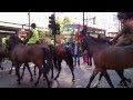 Amazing Horse Ride In London