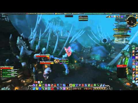 Tanaan Bloody Coin Farming
