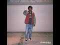 Playboi Carti Pissy Pamper Only Carti