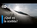 ¿Cómo se forma la niebla?