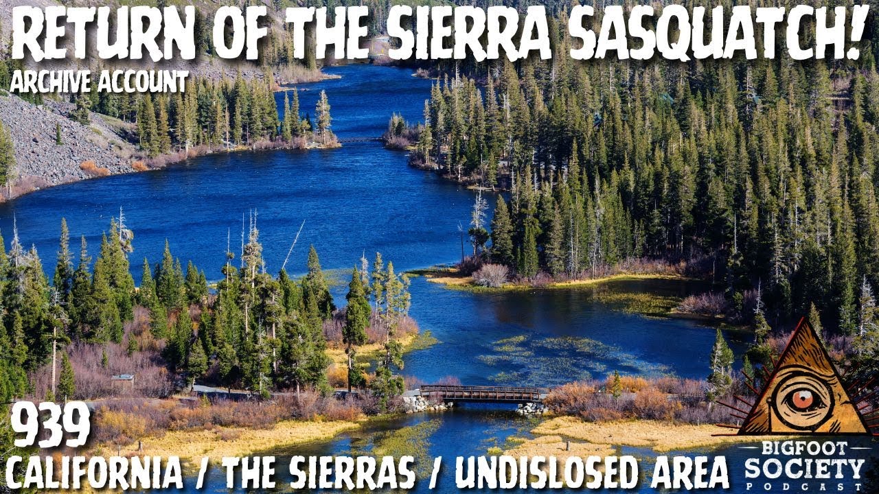 Revenge of the Sierra Sasquatch! | Archives