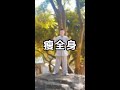 每天早起空腹這樣練200下可以瘦全身 fitness exercise shorts