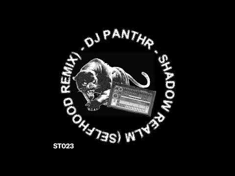 DJ Panthr -- Shadow Realm (Selfhood Remix)