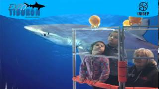 DIA 3 Expo Tiburon159