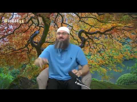 Potiranje vrata prilikom abdesta - Elvedin Pezić