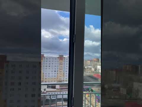 Сетка плесе