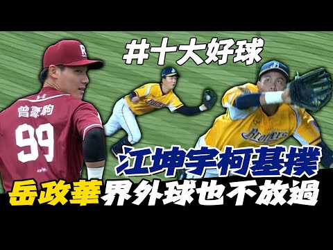 中職》曾總也來參一咖??江坤宇柯基撲│岳政華界外球也不放過⚾6/19-6/25十大好球【MOMO瘋運動】