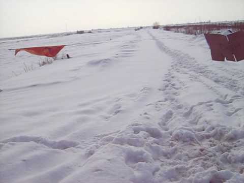 brezoaiele  dupa  ninsoare!!! primar de primar!!!!