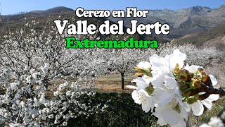 preview picture of video 'Valle del Jerte en Flor'