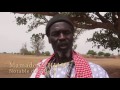 UN BAOBAB PLUS EFFICACE QU'UN GILET PARE-BALLE!