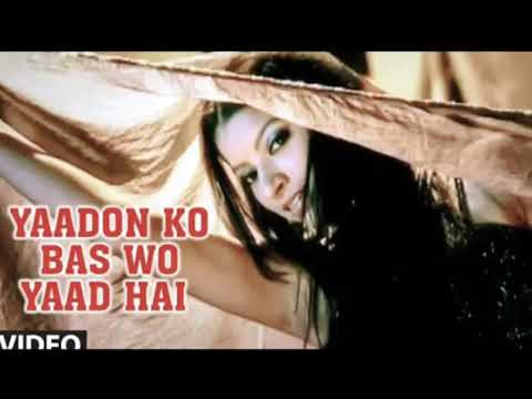 Yaadon ko bas wo yaad hai video song