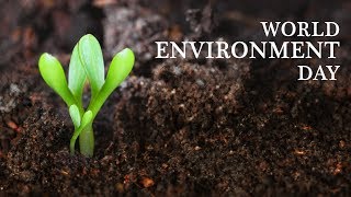 World Environment Day 2010