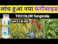 Tricolor fungicide || Best agrolife Tricolor fungicide