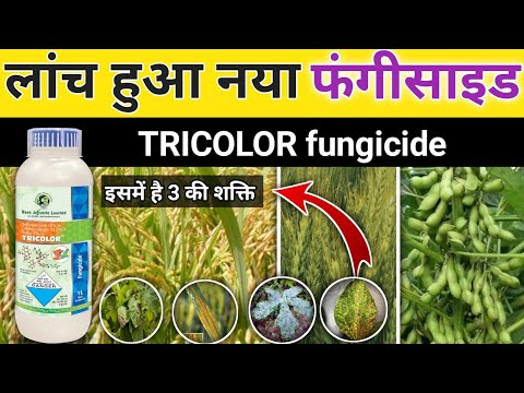 Tricolor fungicide || Best agrolife Tricolor fungicide