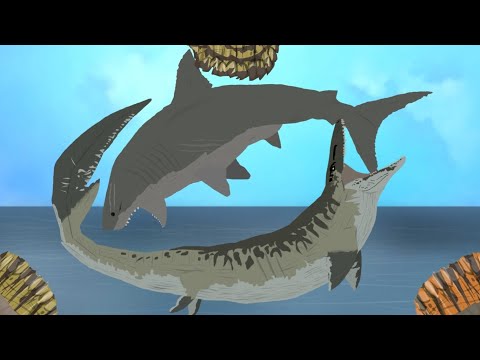 [DC2] Mosasaurus vs Megalodon (Jurassic World Rebirth vs The Meg)