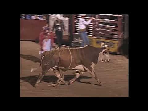 Hollywood bucks Ben Jones - 99 PBR Tunica