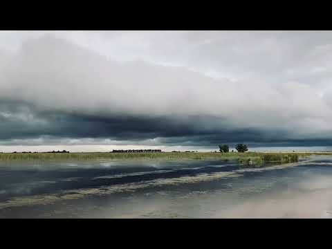 Esta tarde en Canals, Córdoba.🎥 Reporte de @fernandogonzalez76 21/12/25 #tormenta 