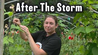 The Garden After The Storms…And What’s Next
