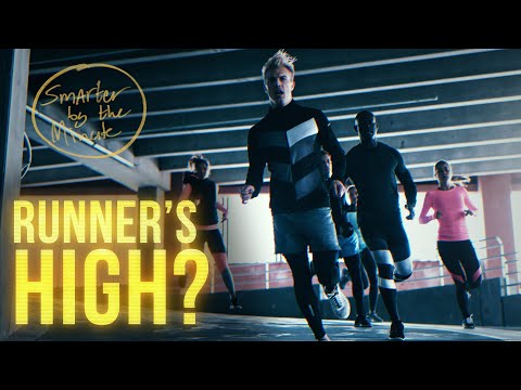 Runner's High explained