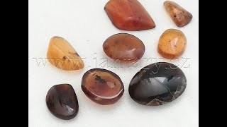  Křídový jantar SJ-8