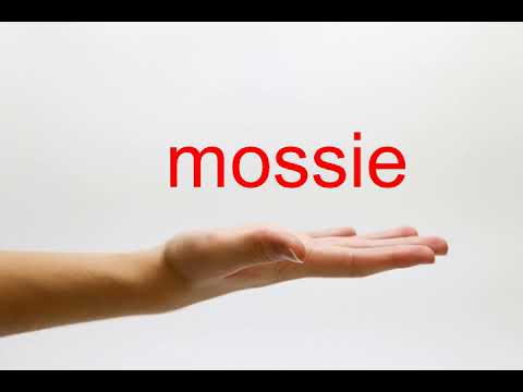 How to Pronounce mossie - American English
