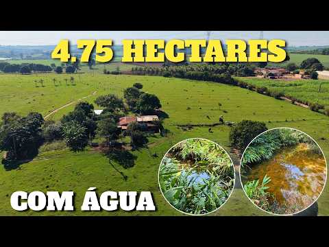 Sítio à Venda em Engenheiro Coelho SP | 4,75 Hectares Rico em Água