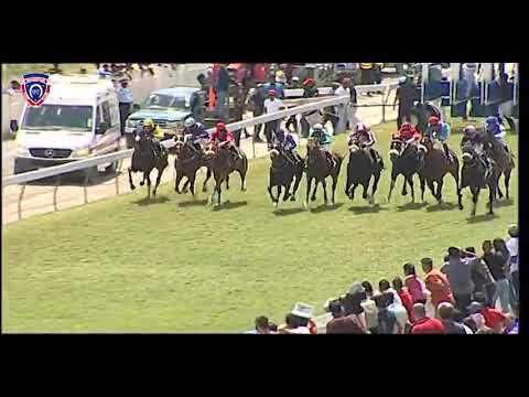 RM30 R2 | Iron Wolf | N.Juglall