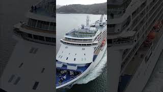 #cruiseship #cruise #cruiselife