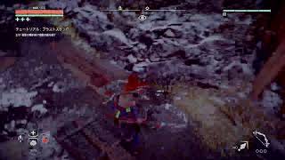 ＃ホライゾンゼロドーン #HorizonzeroDawn ホライゾンゼロドーンのんびりプレイします(^_^)