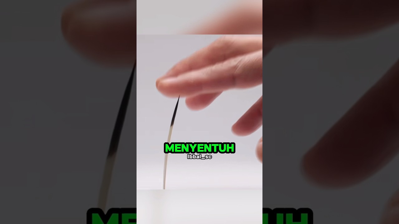 Fakta Mengejutkan di Balik Duri Landak