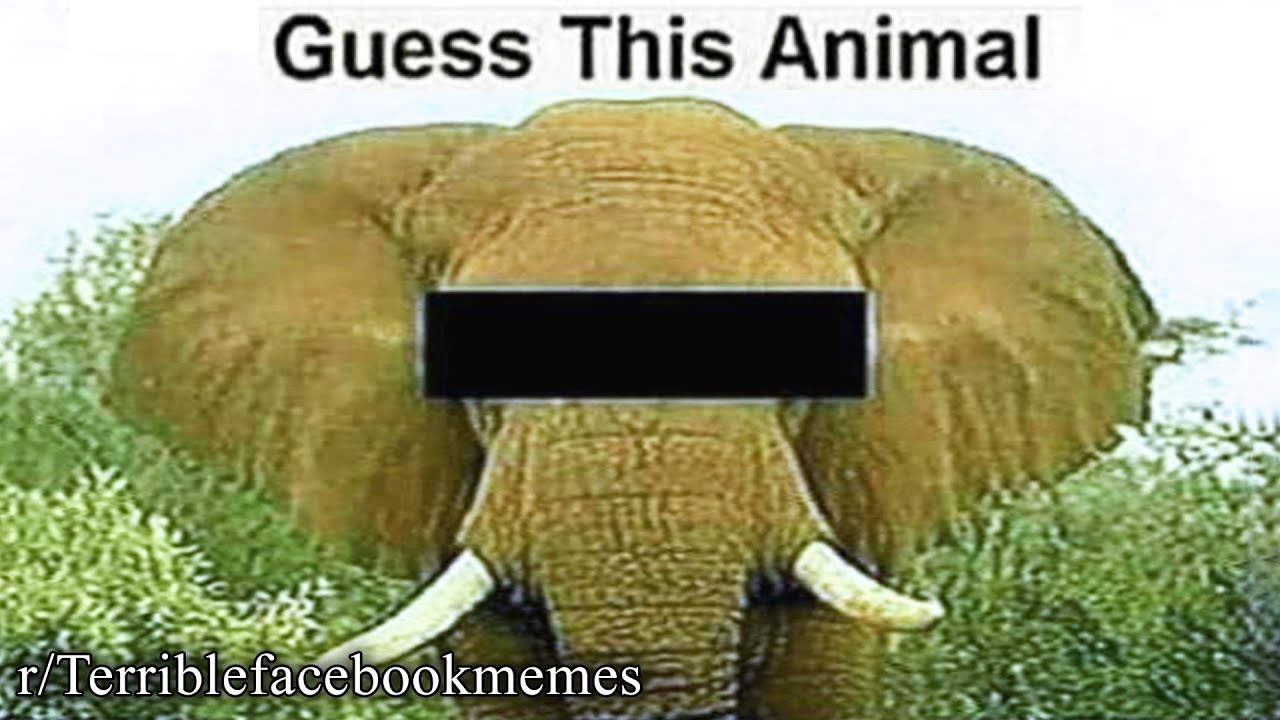 r/Terriblefacebookmemes | wrong answers only