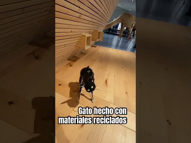 Video relacionado