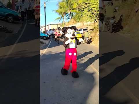 Mickey Mouse En El Desfile En San Francisco Lempa
