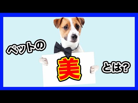 ペットについて詳しく解説