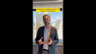 What are Carbon Credits?