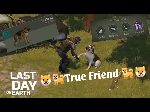 Get a Dog w/ TRUE FRIEND TRAITS | Last Day on Earth 🐶🐶🐶