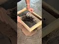 Homepage 1 Video thumbnail