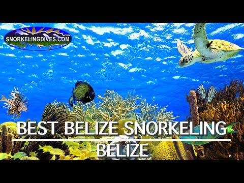 Best Belize Snorkeling