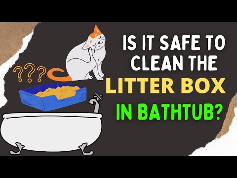 Can You Clean Litter Box In Bathtub?